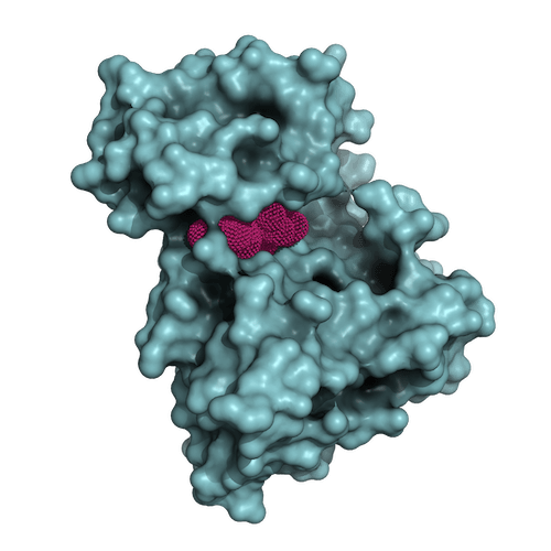 “Teal 3D structure of ALK tyrosine kinase receptor with textured fuchsia inhibitor molecule (NUV-655) enclosed in binding site